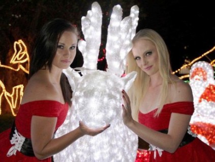 File photo of the lights at Emperors Palace Garden of Lights.