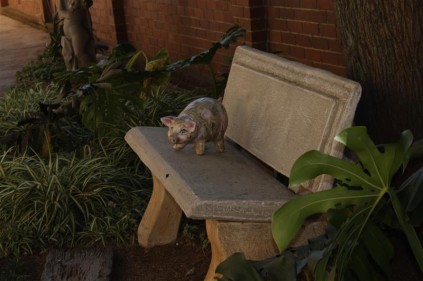 A peaceful bench in the garden.