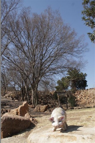 See my sexy paws on the stones.