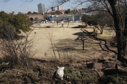 The park from the top of the remnant of the waterfall.