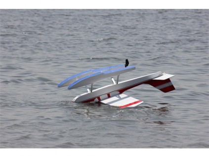 Floating quietly along while waiting for its owner to rescue it.