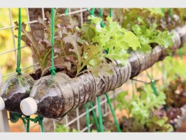 Image supplied by Redisa