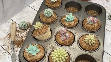 1633507538_Grace_Stevens___Summer_Succulents__3__