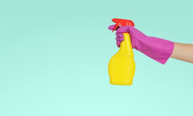 ElanaWagner-03-01-2022-HomeHacks-EcoFriendlyCleaning.6 (Medium)