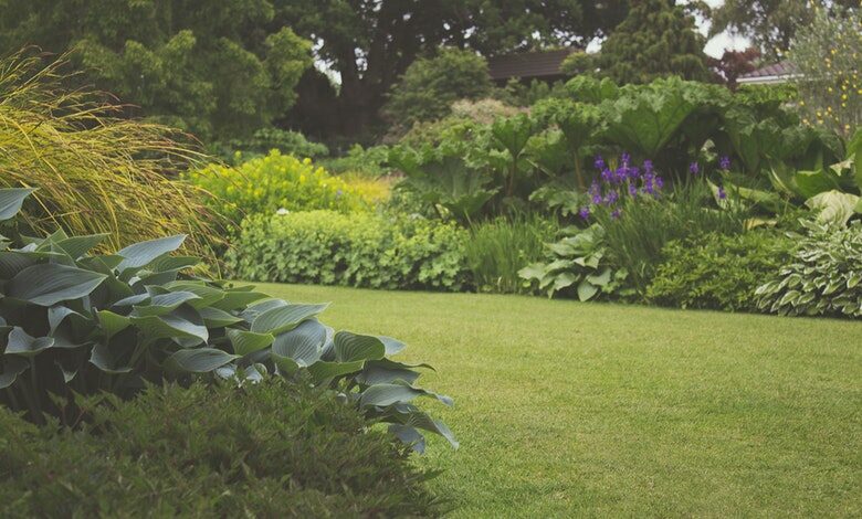 garden