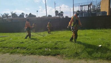 grasscutting_24733