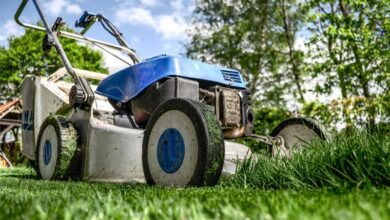 work-grass-tractor-_19472