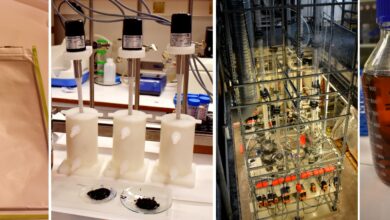 b90c4fea48f50505_org