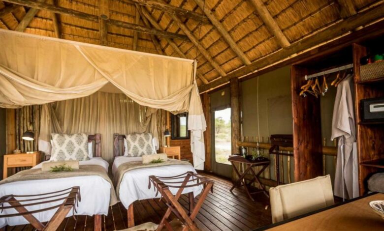 ElanaWagner-09-03-2022-Travel-BidOnTreeCamp.1