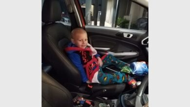 288450820_7530916956_02489