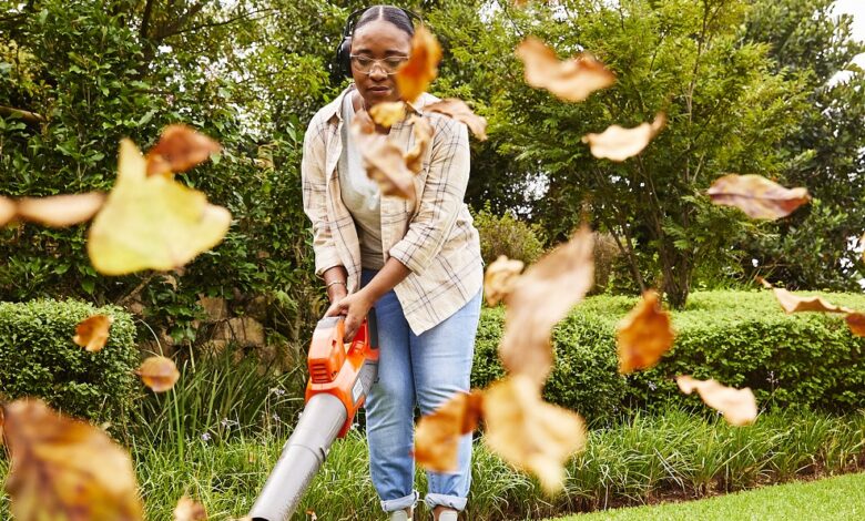 ElanaWagner-22-07-2022-Home-LeafBlower.1