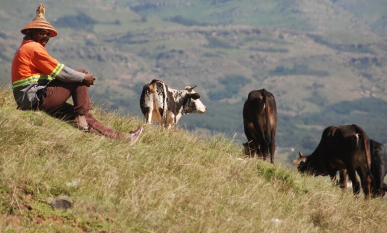 The highland catchment area of Matatiele (CROPPED)