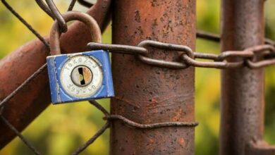 fence-1726295_1920_62095