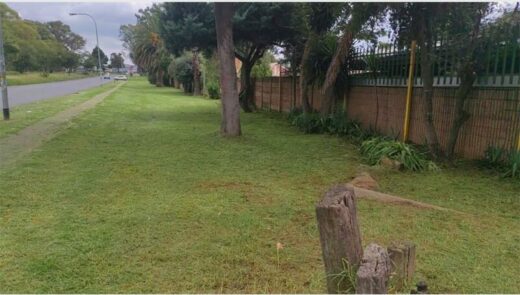 332372147_743712570_37162