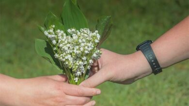 happy-mothers-day-g_17348