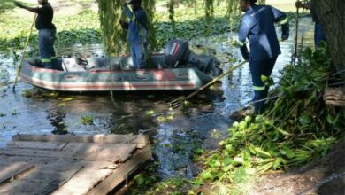 wetlands_30199-780x470