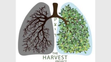 TheHarvestProject_08147