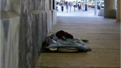 114125243_comp_3166_76232