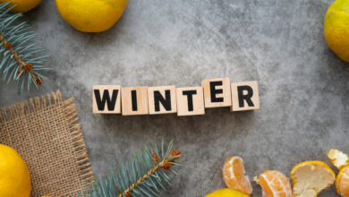 flay-lay-arrangement-with-winter-word-stucco-background