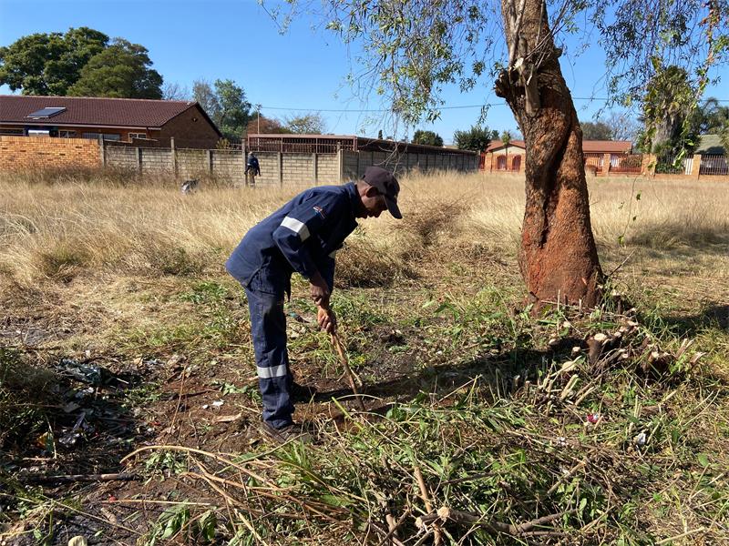 A man in blue uniform is digging up a tree.