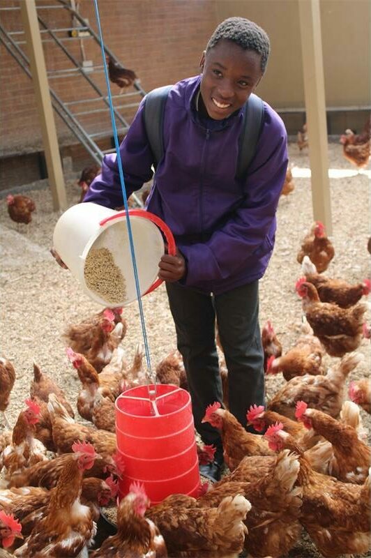 Sowing seeds of success as Olympia harvests a brighter future for ...