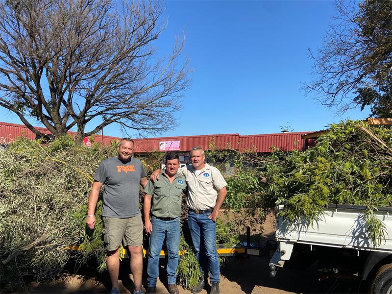 Three men standing next to a truck with trees.