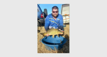 A man holding a fish in a bucket.
