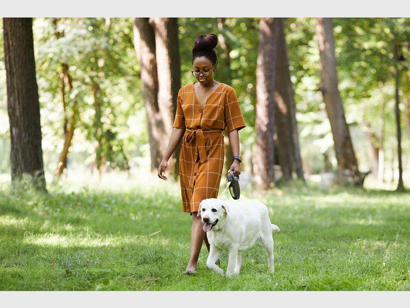 World Walking Day and Mental Health Awareness Month highlighted the powerful connection between simple physical activity, like walking or playing with a pet, and improved mental well-being.