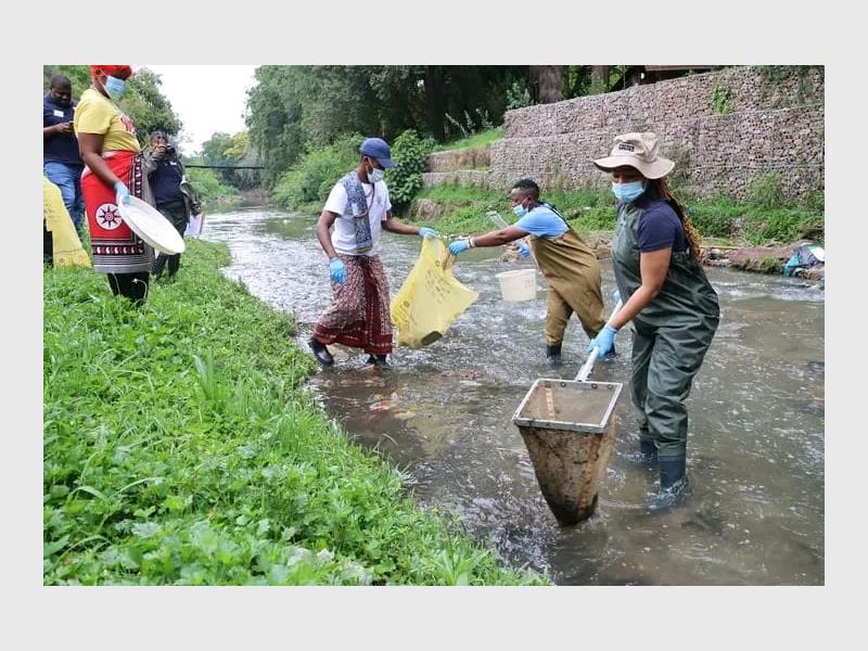 Nature champs and local traditional healers joined forces for a river clean-up and citizen science awareness project at the Blesbokspruit empowering the community with tools to monitor water quality and protect the local ecosystem.