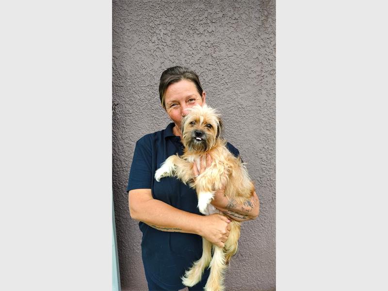 The Springs SPCA removed 27 animals from a residence after discovering poor living conditions. The SPCA stressed that such cases require both animal protection and appropriate human support.