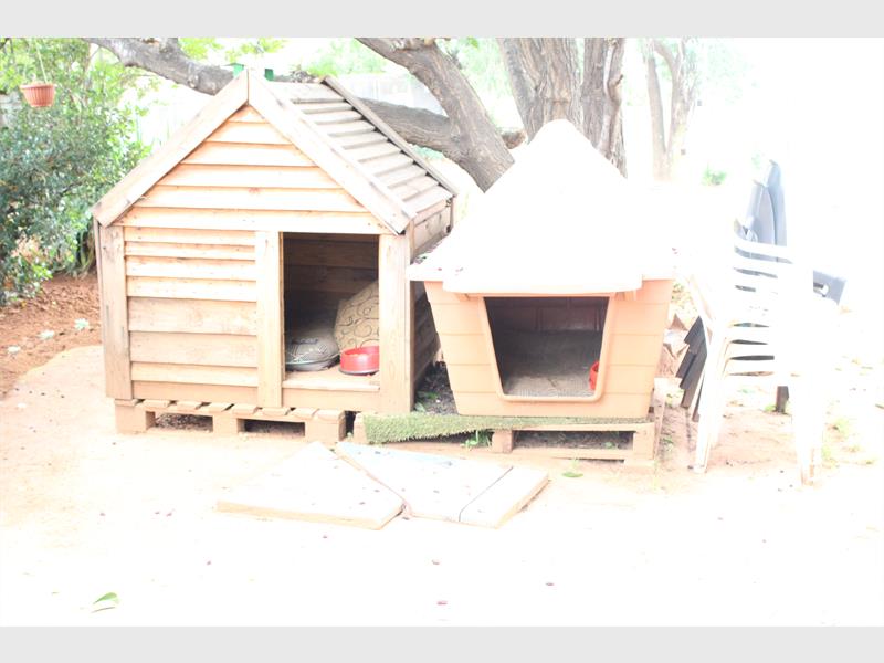 The Springs SPCA has reported a sharp increase in cases of dogs being deliberately poisoned across multiple neighbourhoods, including gated communities. Pet owners are urged to keep animals indoors, watch for warning signs, and seek immediate care if poisoning is suspected.