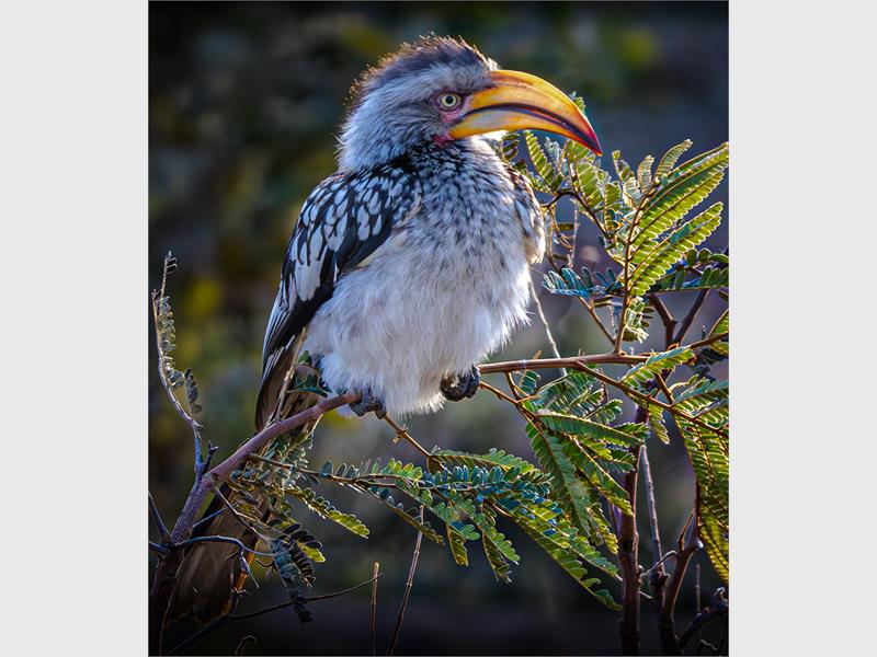 From bold landscapes to everyday scenes, the club looks back at the images that made this year a memorable one for its photographers.