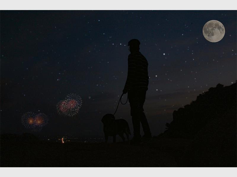 As fireworks season approaches, SPCA manager Annecia Le Roux is reminding residents to act responsibly. Loud bangs and bright flashes cause panic, injuries, and lasting fear in pets and wildlife.