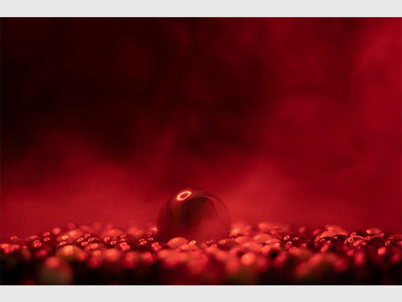 Creative photography took centre stage at the Springs Photo Club’s monthly competition, with entries impressing the judges.