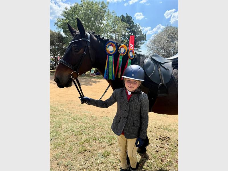 With more than 40 years in the community, Winstead Stable Springs continues to train riders from beginners to competitive level.