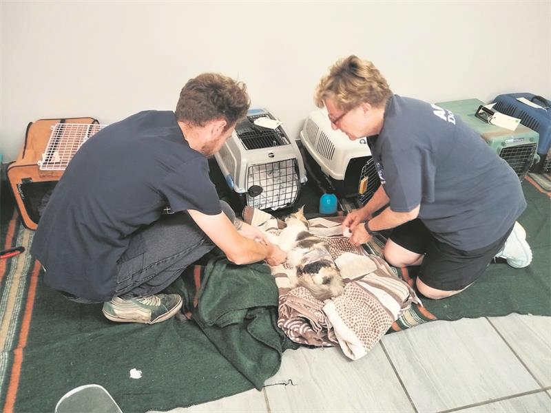 Eighty dogs and cats from lower-income households received vital veterinary care during a two-day sterilisation campaign hosted by SPOT.