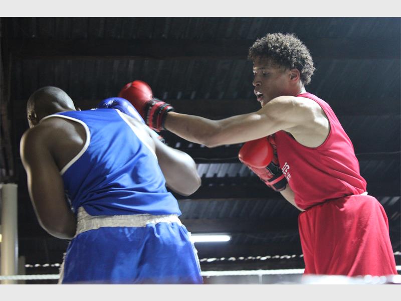 Fighters from across Brakpan, Tsakani, Eswatini, Rustenburg and Mbombela gathered for Bert Collins Boxing Club’s first tournament of the year where rising stars delivered impressive performances and bold ambitions for the season ahead.