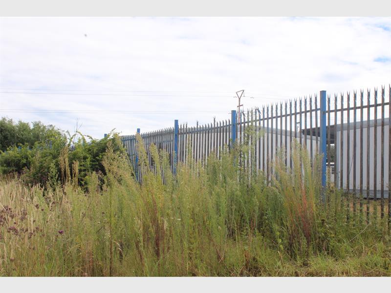 Despite previous reports and promises of action, Eastvale residents say crime linked to abandoned classrooms near Laerskool Morester is worsening with ongoing safety concerns.