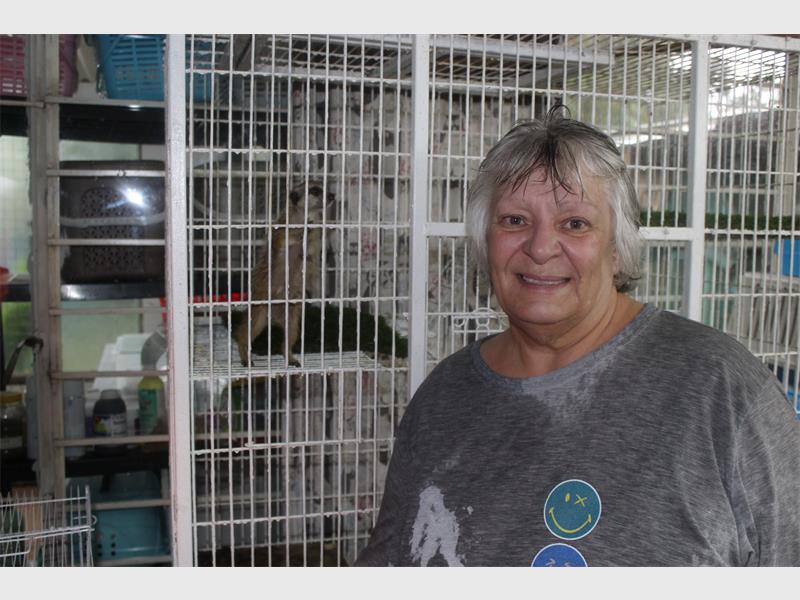 Based in Vischkuil, the centre cares for a wide range of animals, including birds, deer, turtles and horses, while relying on community donations and partnerships.