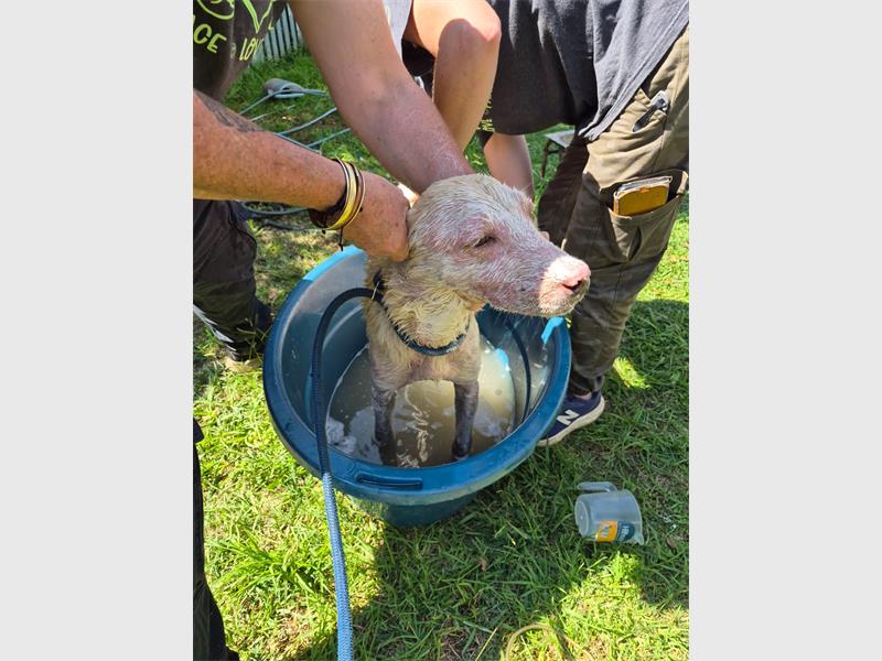 “It is sickening that a human can be so cruel.”