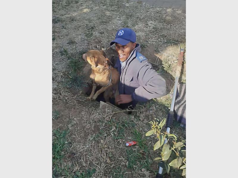 From rescues to education, Paulos Kholu reflects on a rewarding 14-year journey of service and compassion at the Springs SPCA.