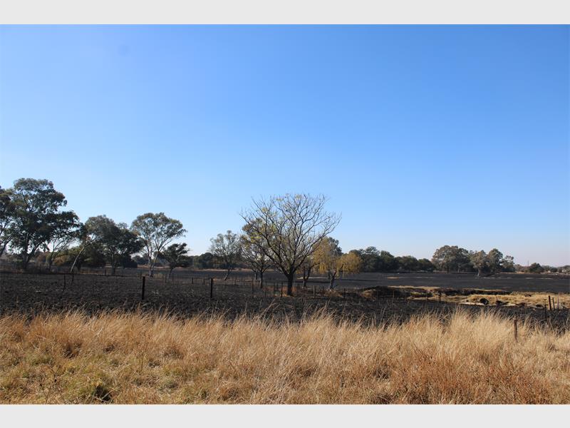 The City of Ekurhuleni's Disaster and Emergency Management Services has responded to concerns raised by a Homestead Blossom resident over its response to the June 12 fire.