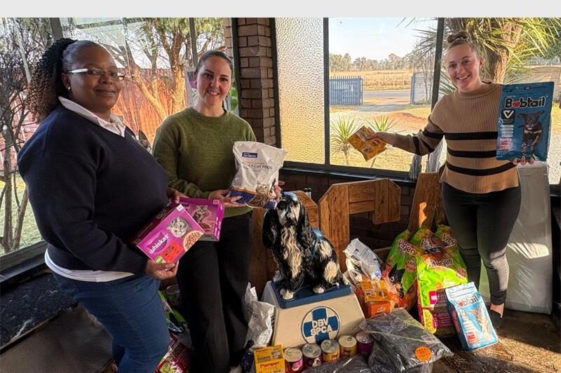 The annual Polar Plunge brought the Springs Girls High School community together to support the Springs SPCA, with animal food donated following the event.