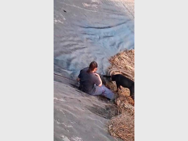 A difficult rescue operation brought three dogs to safety after they were found trapped in a reservoir in Delmas.