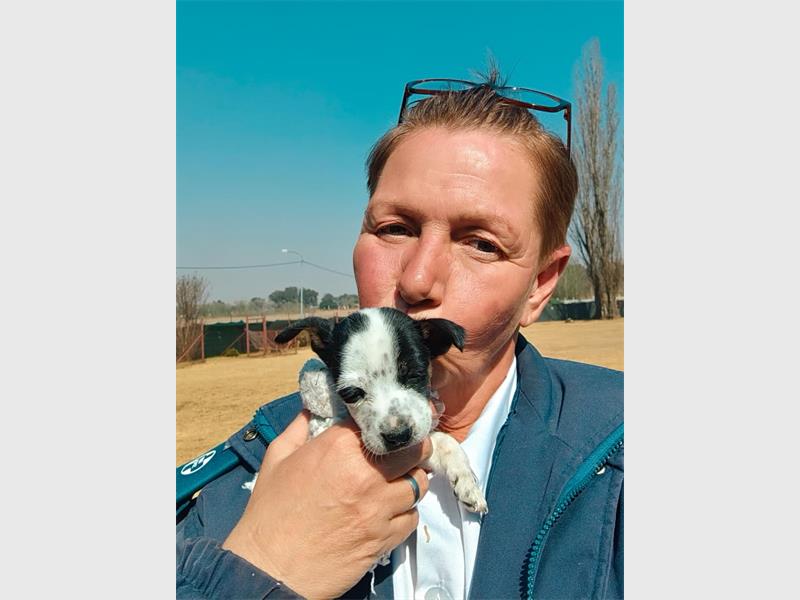 The SPCA is urging pet owners to microchip their animals and reminding residents that keeping an unreported stray animal is against the law.