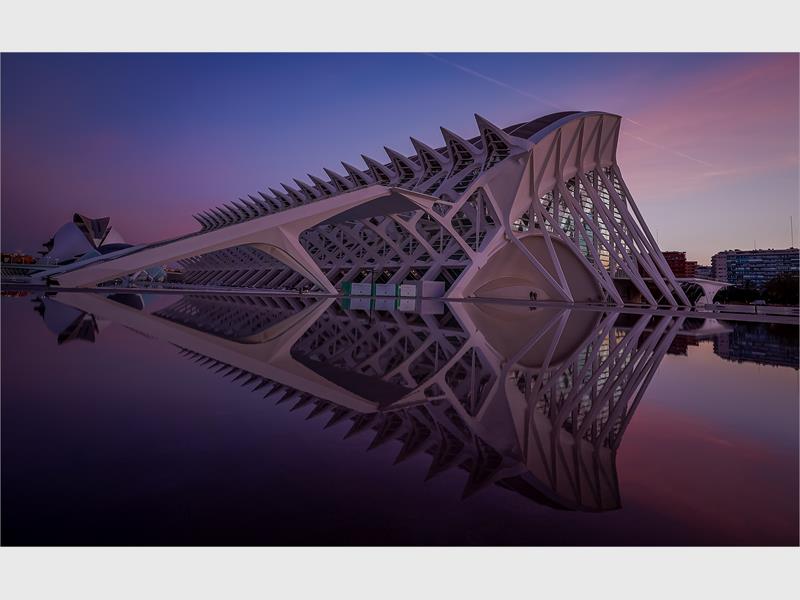 The club is calling on aspiring photographers to join and grow their skills.