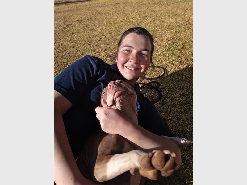 Warmer weather brings a rise in parasites and allergies, prompting local animal welfare experts to issue crucial care advice for pets.