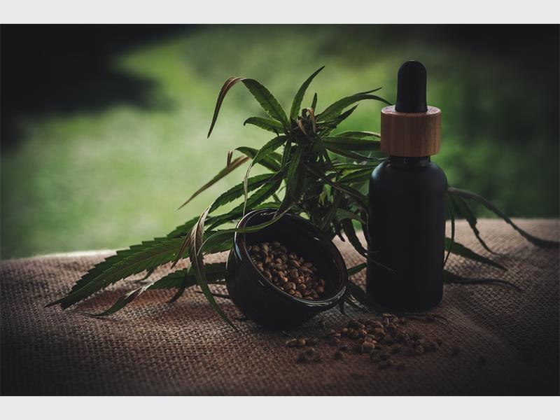 The Pros and Cons of using weed Randfontein Herald