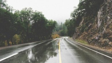 MasterTips image 1 sept slippery road