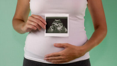 The first few months of pregnancy explained